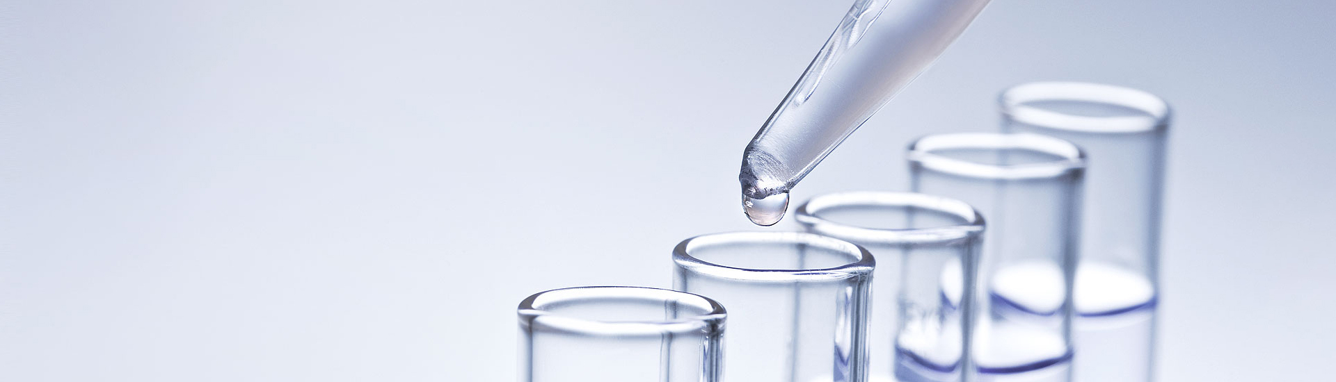 GA黄金甲·(中国区)官方网站