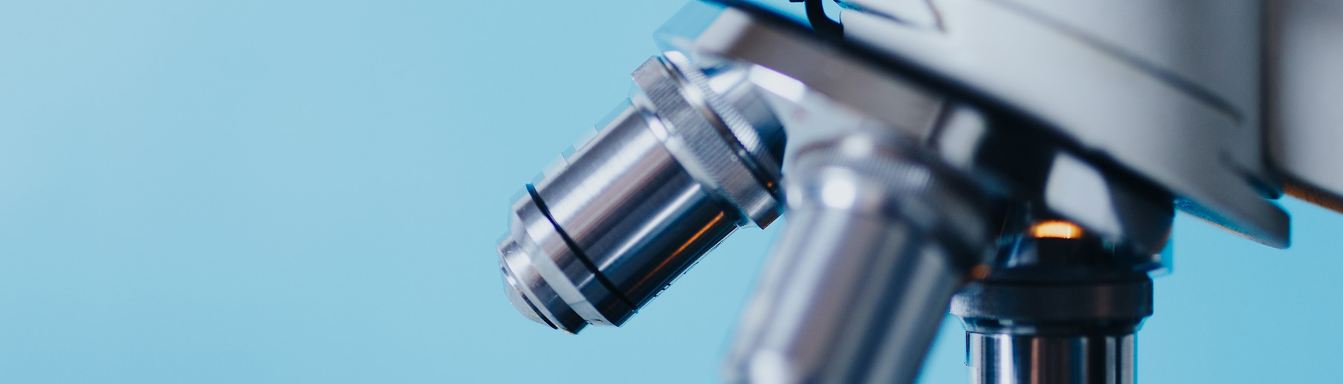 GA黄金甲·(中国区)官方网站