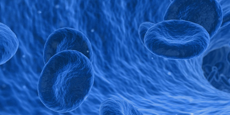 GA黄金甲·(中国区)官方网站